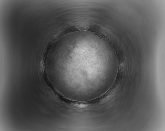 X0000088490772200705291647