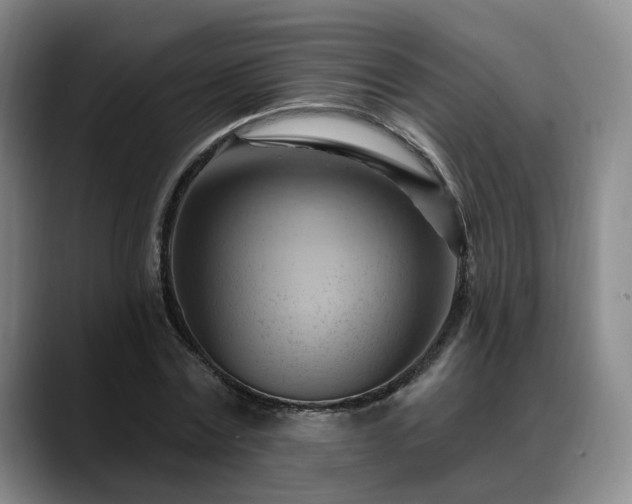 X0000088490779200705291647