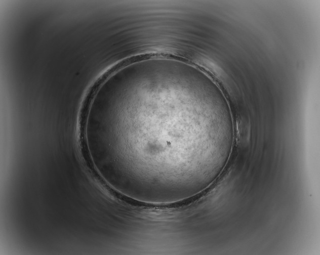 X0000088490780200705291647