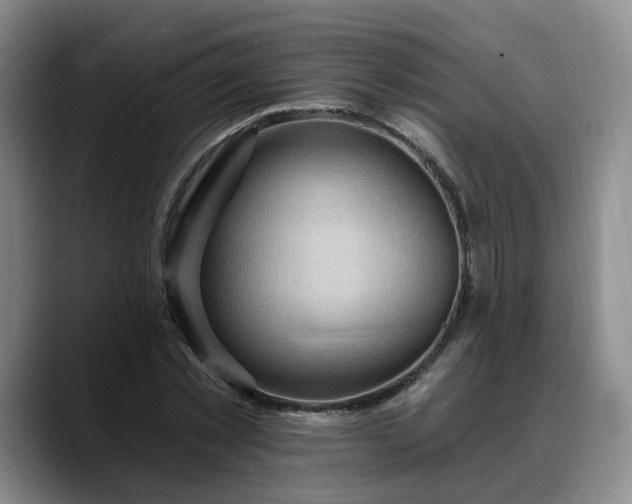 X0000088490781200705291647