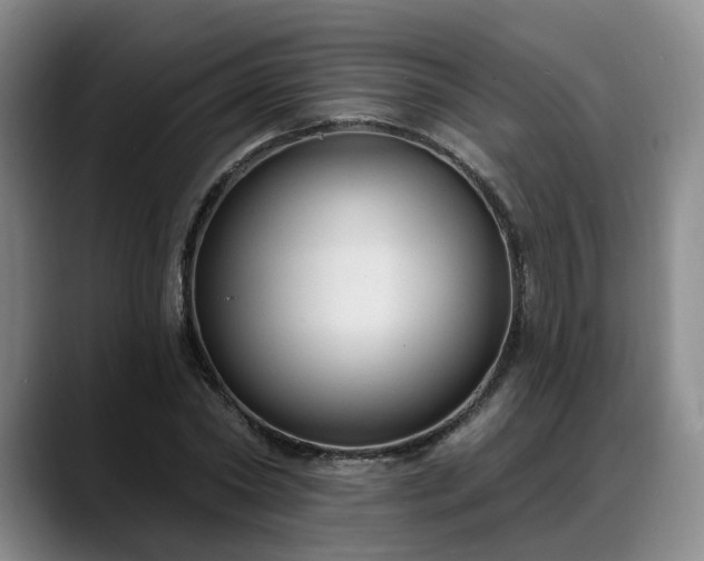 X0000088490782200705291647