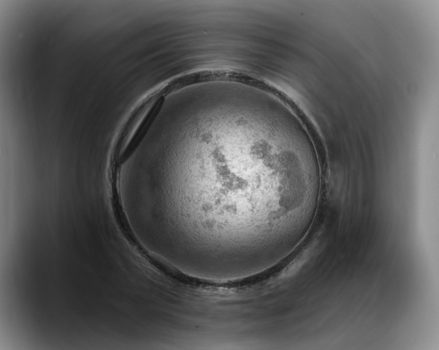 X0000088490783200705291647