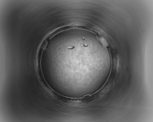 X0000088490784200705291647