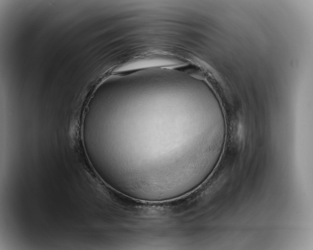 X0000088490785200705291647