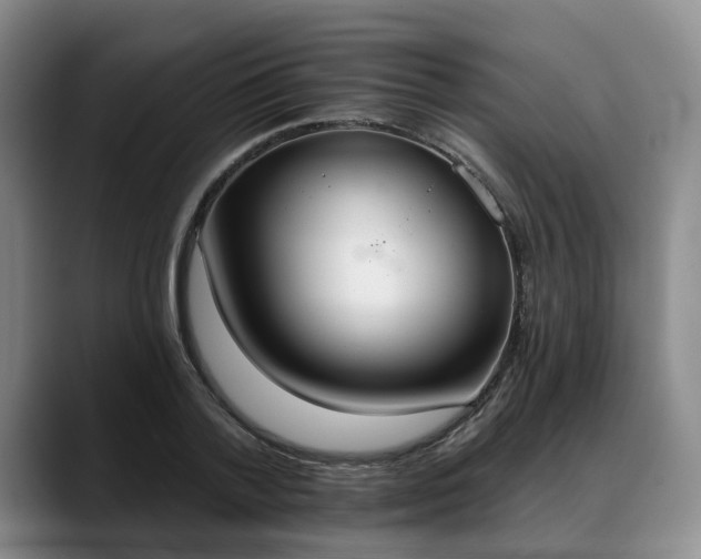 X0000088490788200705291647