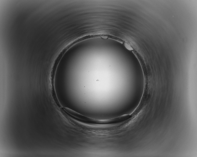 X0000088490789200705291647