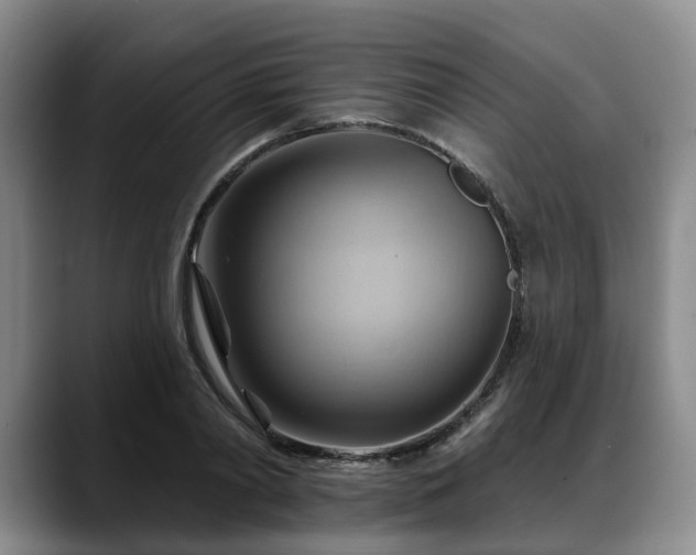 X0000088490790200705291647