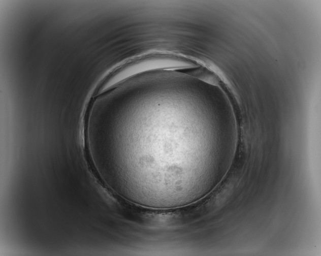 X0000088490791200705291647