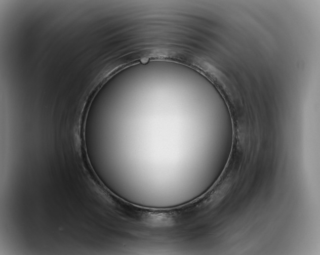 X0000088490794200705291647
