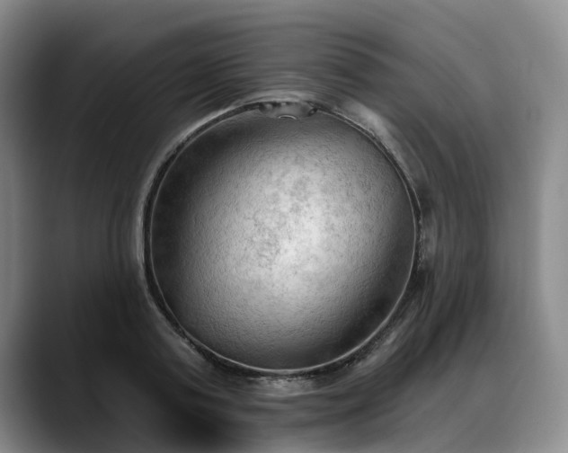 X0000088490795200705291647