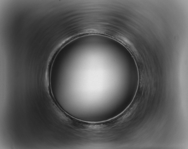 X0000088490796200705291647