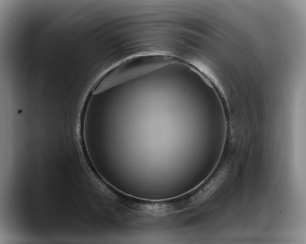X0000088490797200705291646