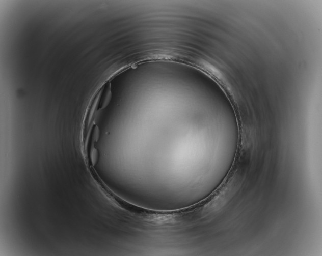 X0000088490802200705291646