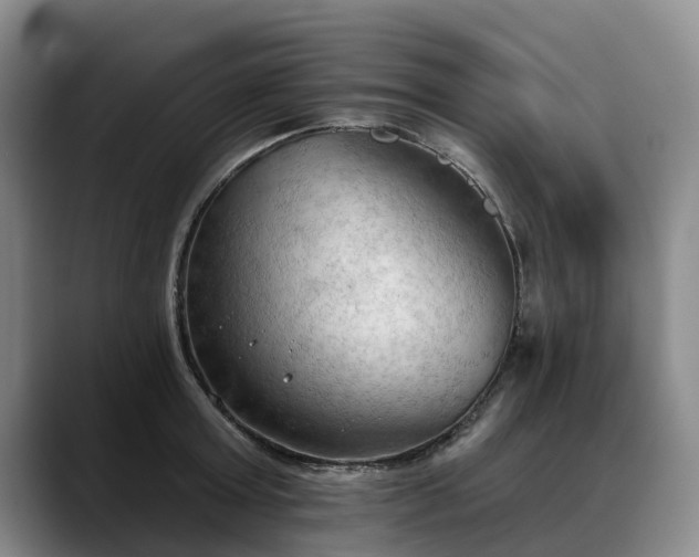 X0000088490803200705291646