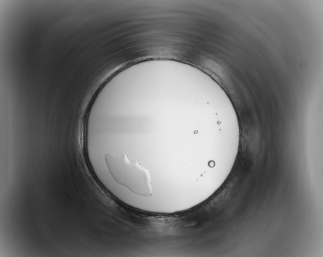 X0000088490804200705291646