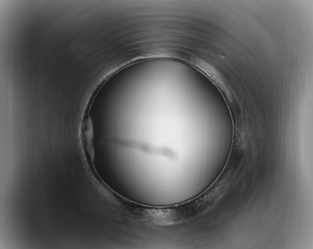 X0000088490805200705291646