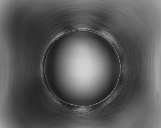 X0000088490806200705291646