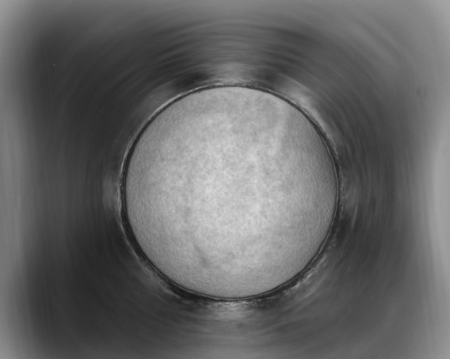 X0000088490810200705291646