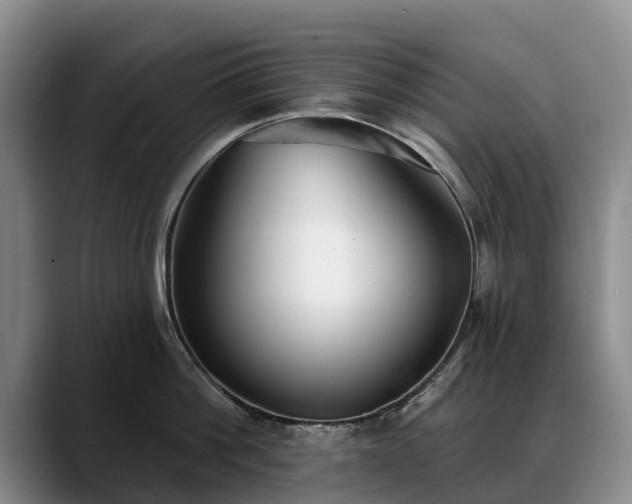X0000088490812200705291646