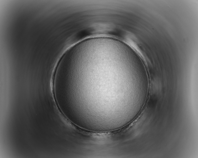 X0000088490813200705291646