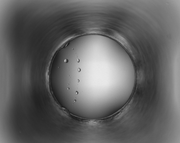 X0000088490814200705291646
