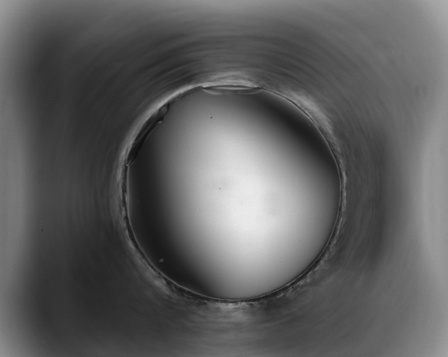 X0000088490816200705291646