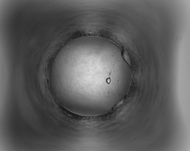 X0000088490817200705291646