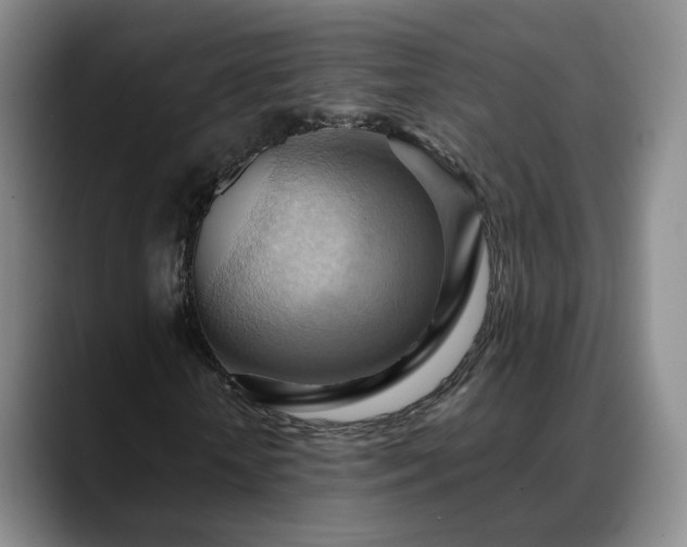 X0000088490818200705291646