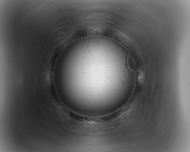 X0000088490819200705291646