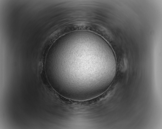 X0000088490821200705291646