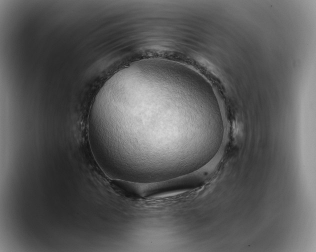 X0000088490822200705291646