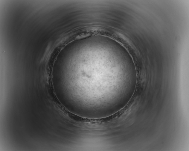 X0000088490823200705291646