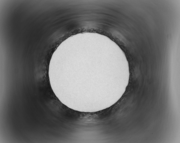 X0000088490824200705291646