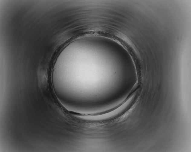 X0000088490826200705291646