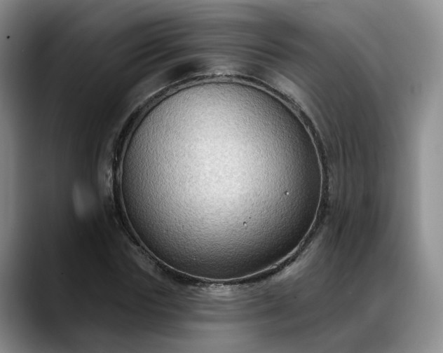 X0000088490827200705291646