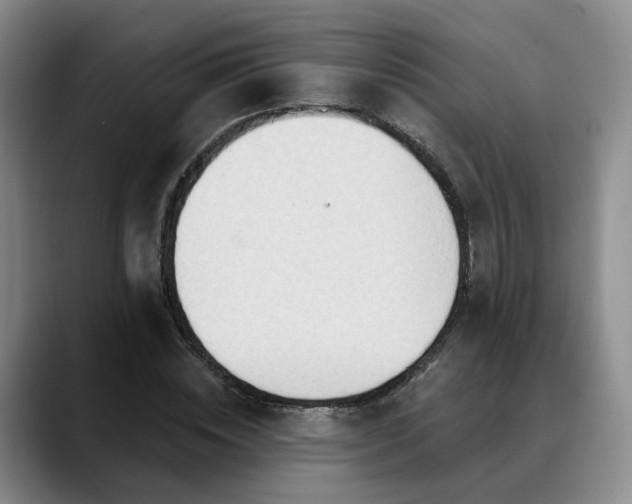 X0000088490828200705291646