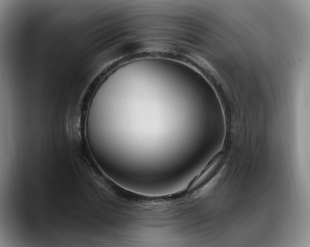 X0000088490830200705291646