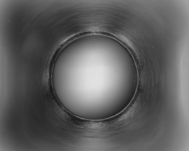 X0000088490831200705291646