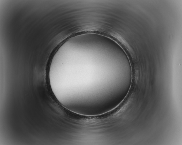 X0000088490834200705291646