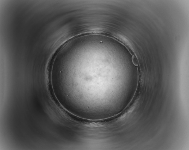X0000088490835200705291646