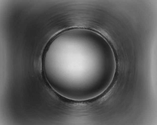X0000088490838200705291646