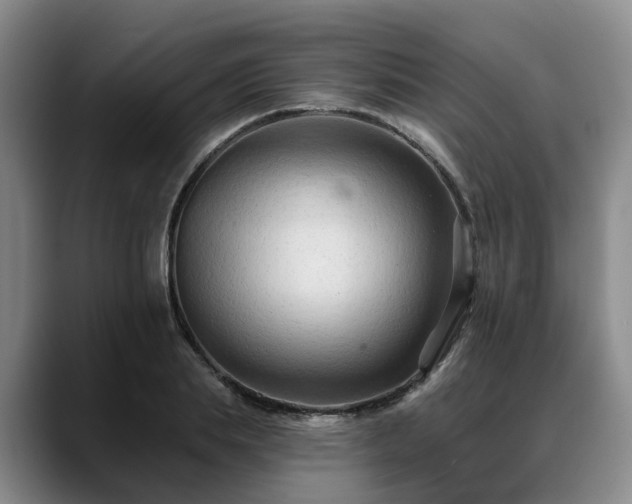 X0000088490839200705291646