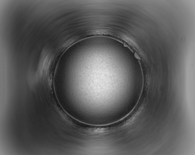 X0000088490841200705291646