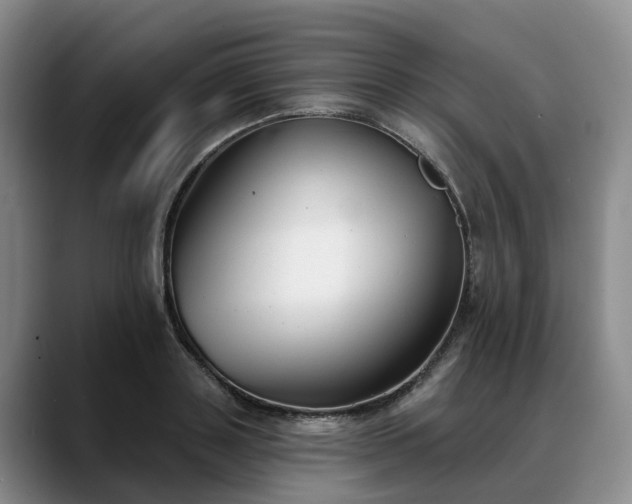 X0000088490843200705291646