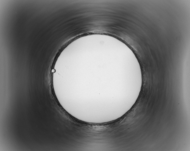 X0000088490848200705291646