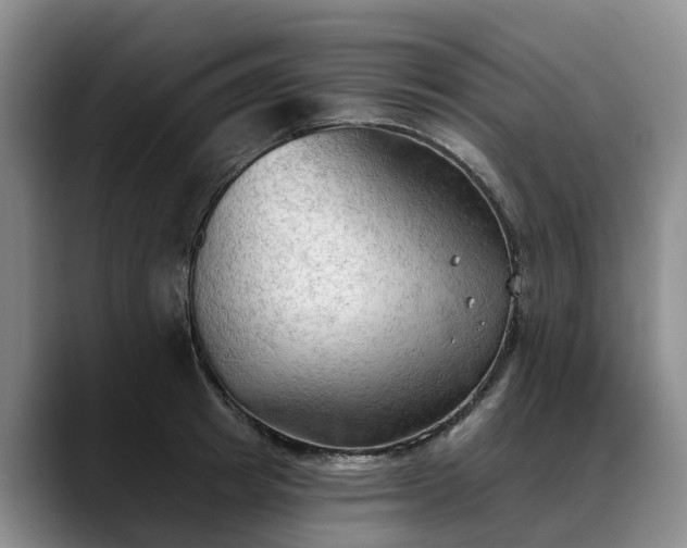 X0000088490849200705291646