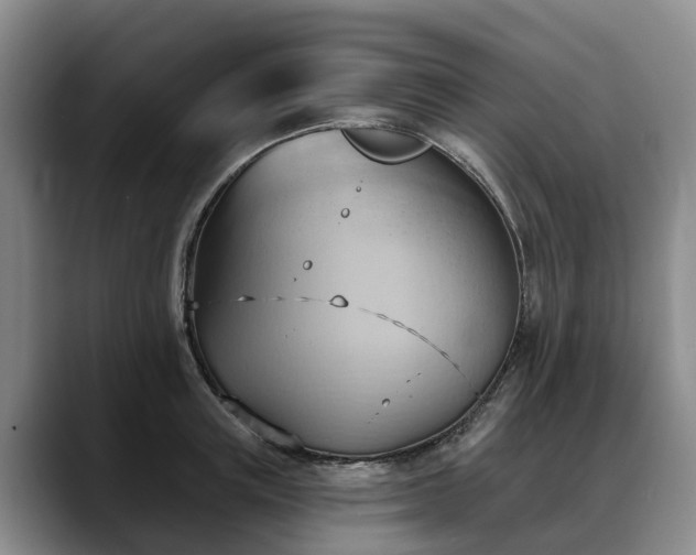 X0000088490851200705291646