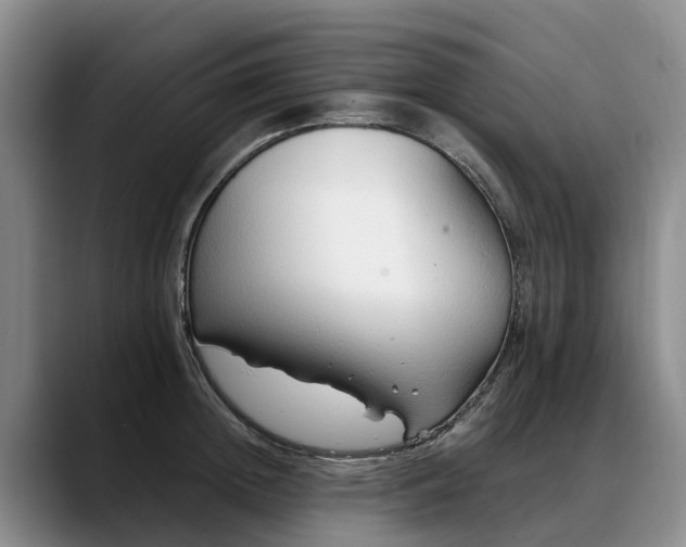 X0000088490852200705291646