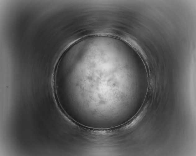 X0000088490855200705291646