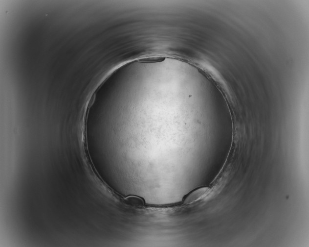X0000088490860200705291646
